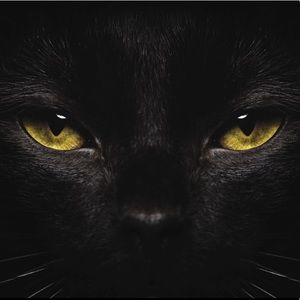 Meet your Posher, Hei